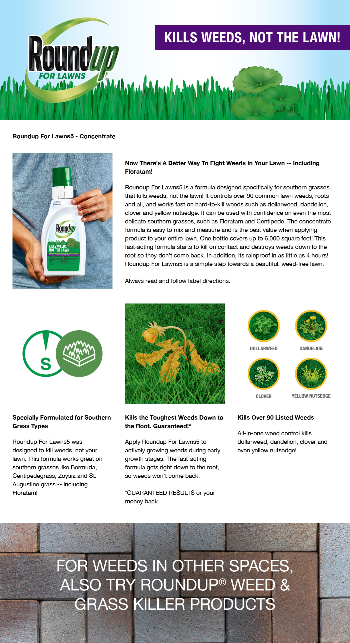 Roundup Roundup for Lawns 5 Concentrate 32 oz. (Southern)5008401 The